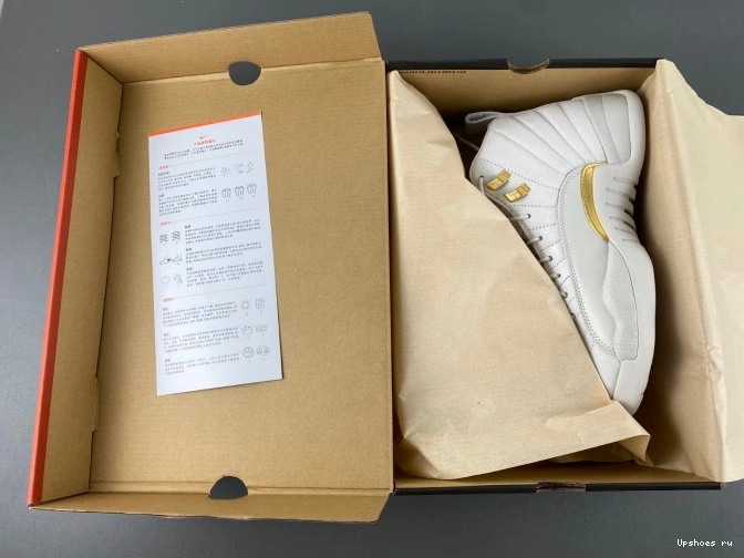 FD9101-007 Retro  Jordan 12 Phantom 0712